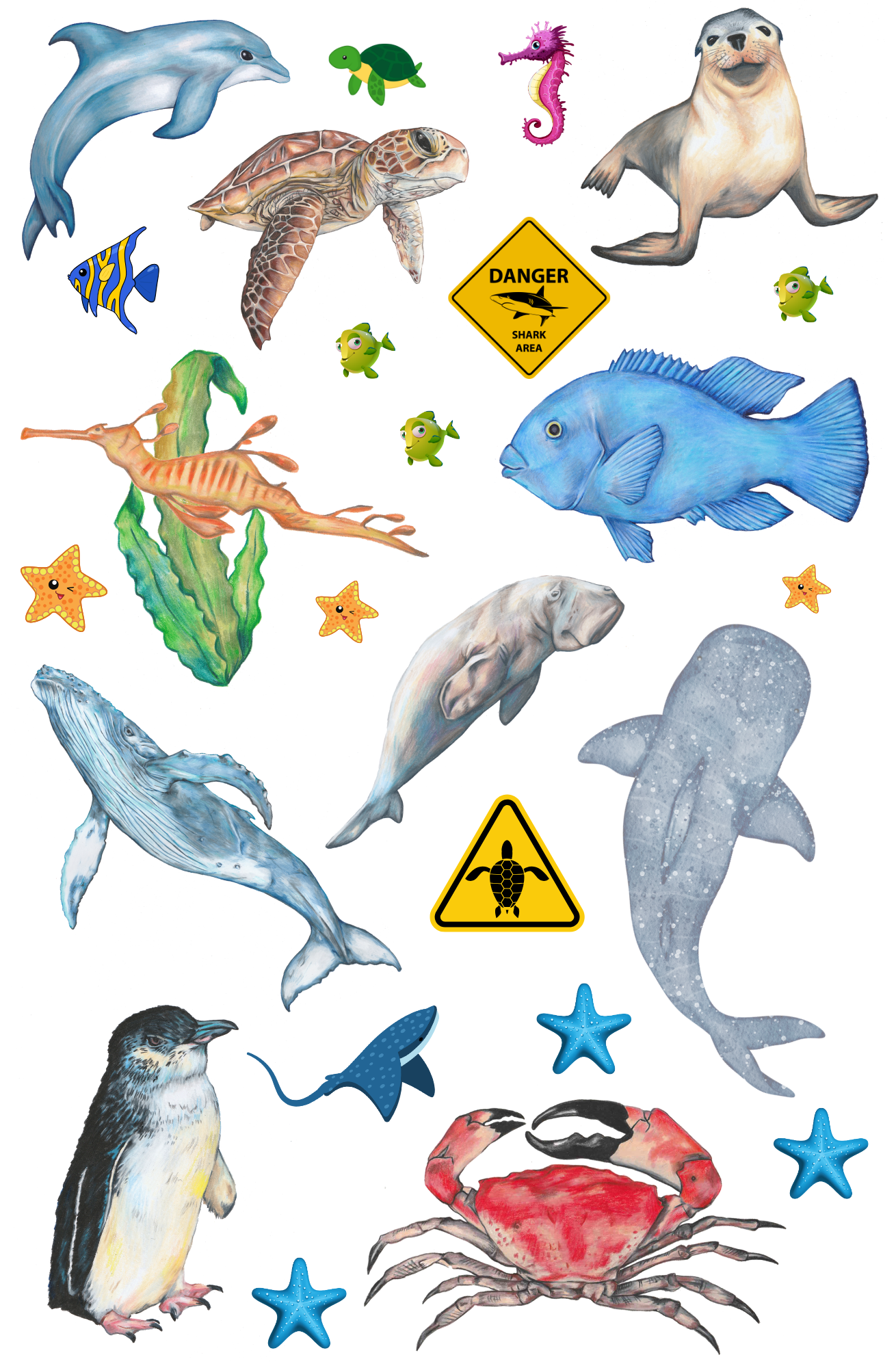 Australian Sea Life