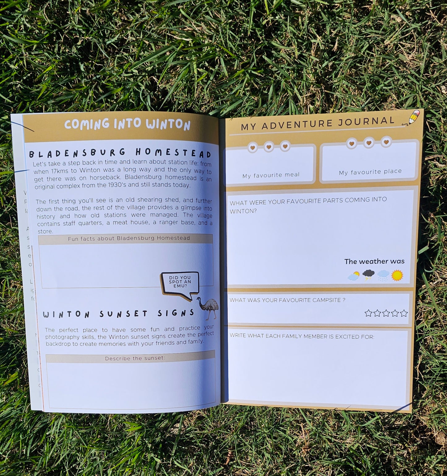 Dinosaur Trail Journal