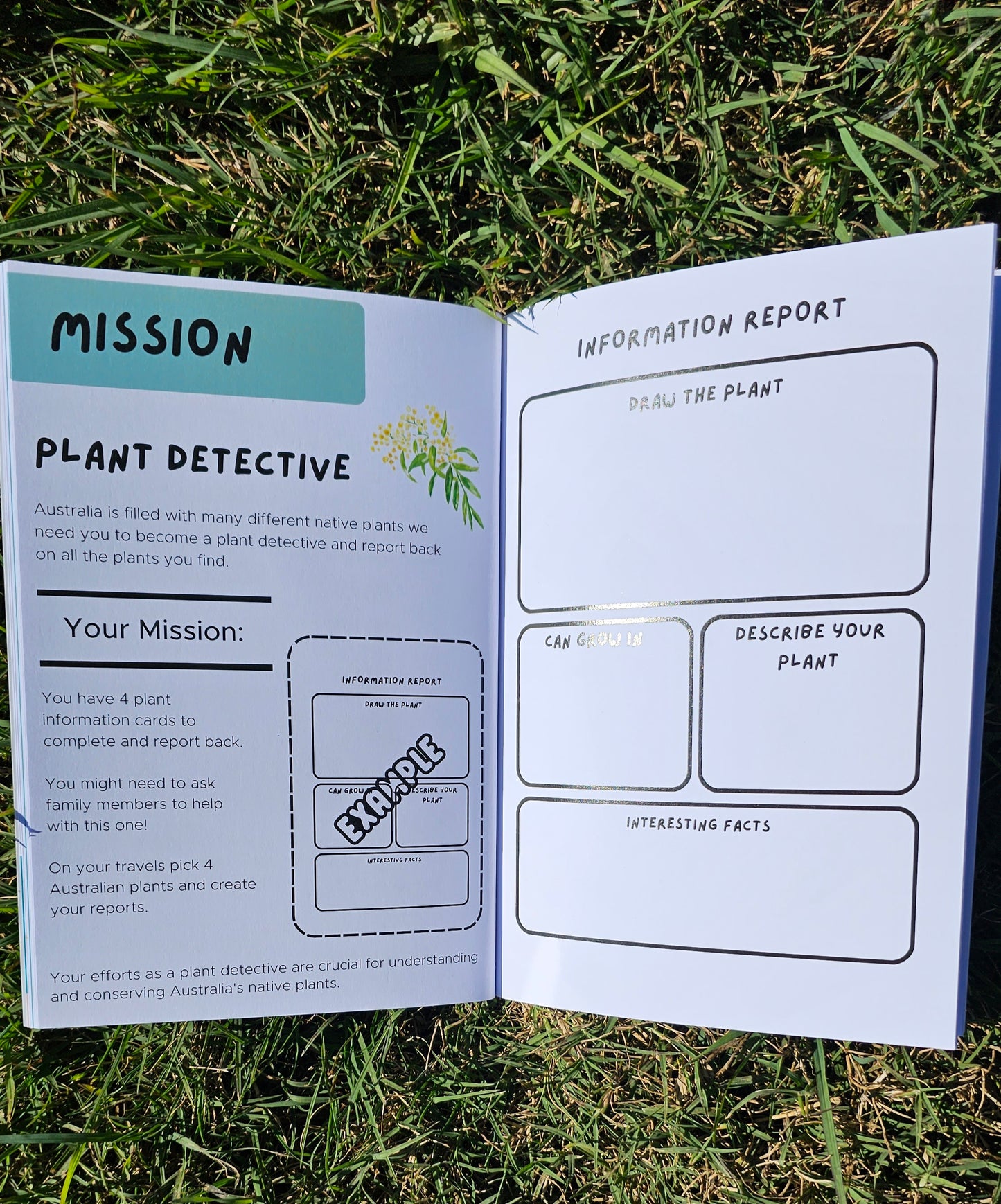 Camping Activities Book
