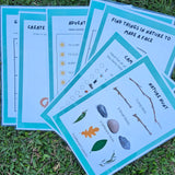 australian outdoor activity sheets