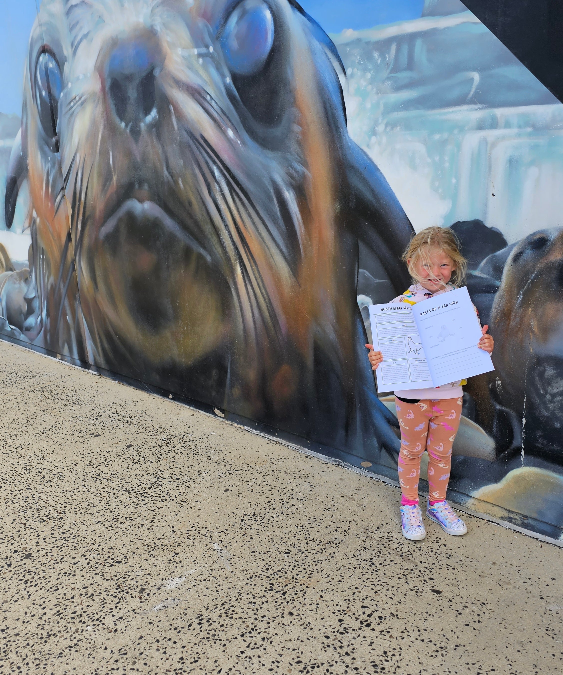 Child holding a australian sea life book next to a seal picture phillip island