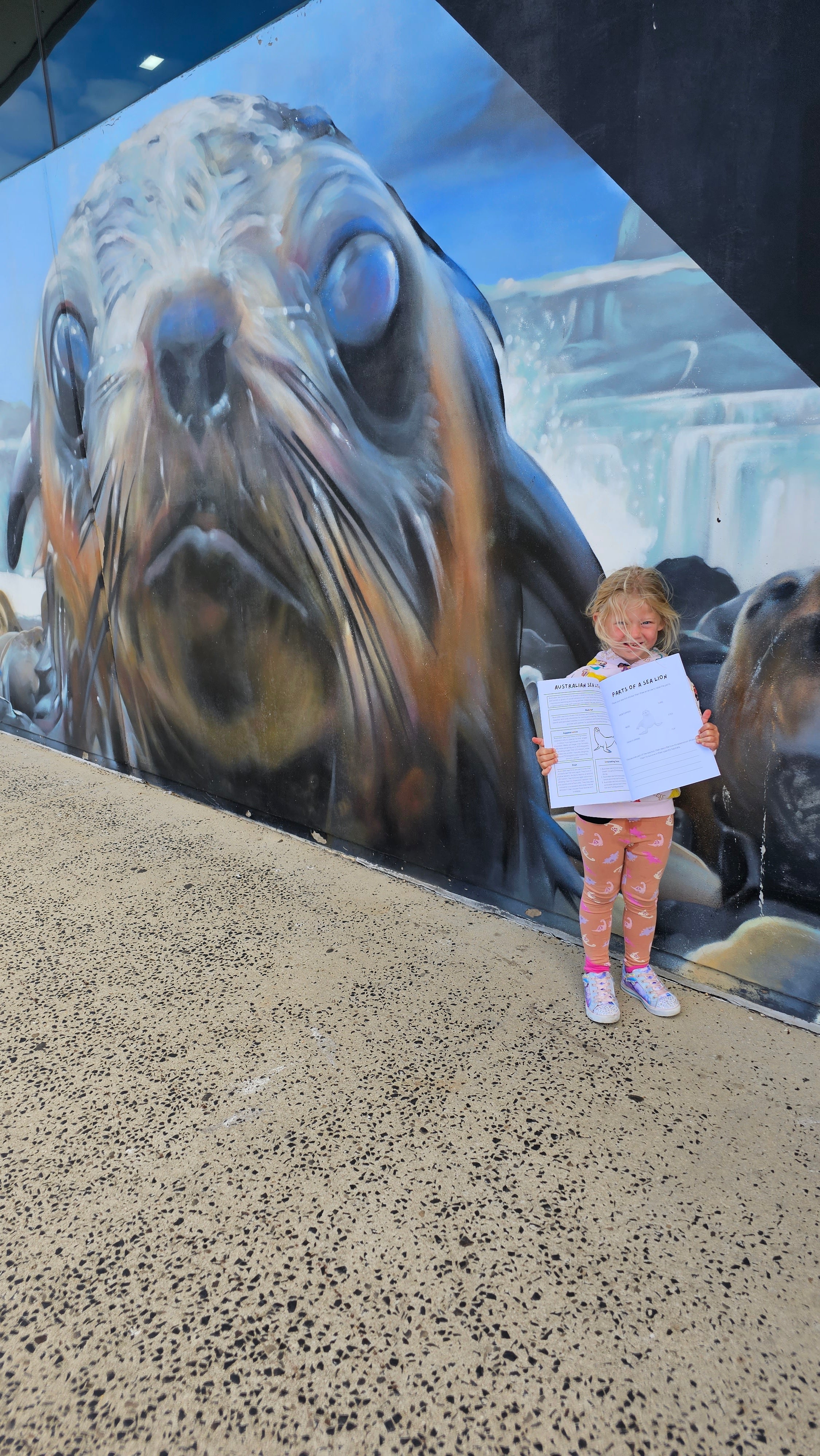 Child holding a australian sea life book next to a seal picture phillip island