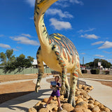 Statue of a a muttabuttasaurus on the dinosaur trail queensland