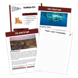 pages from an australian kids journal titled the kimberley
