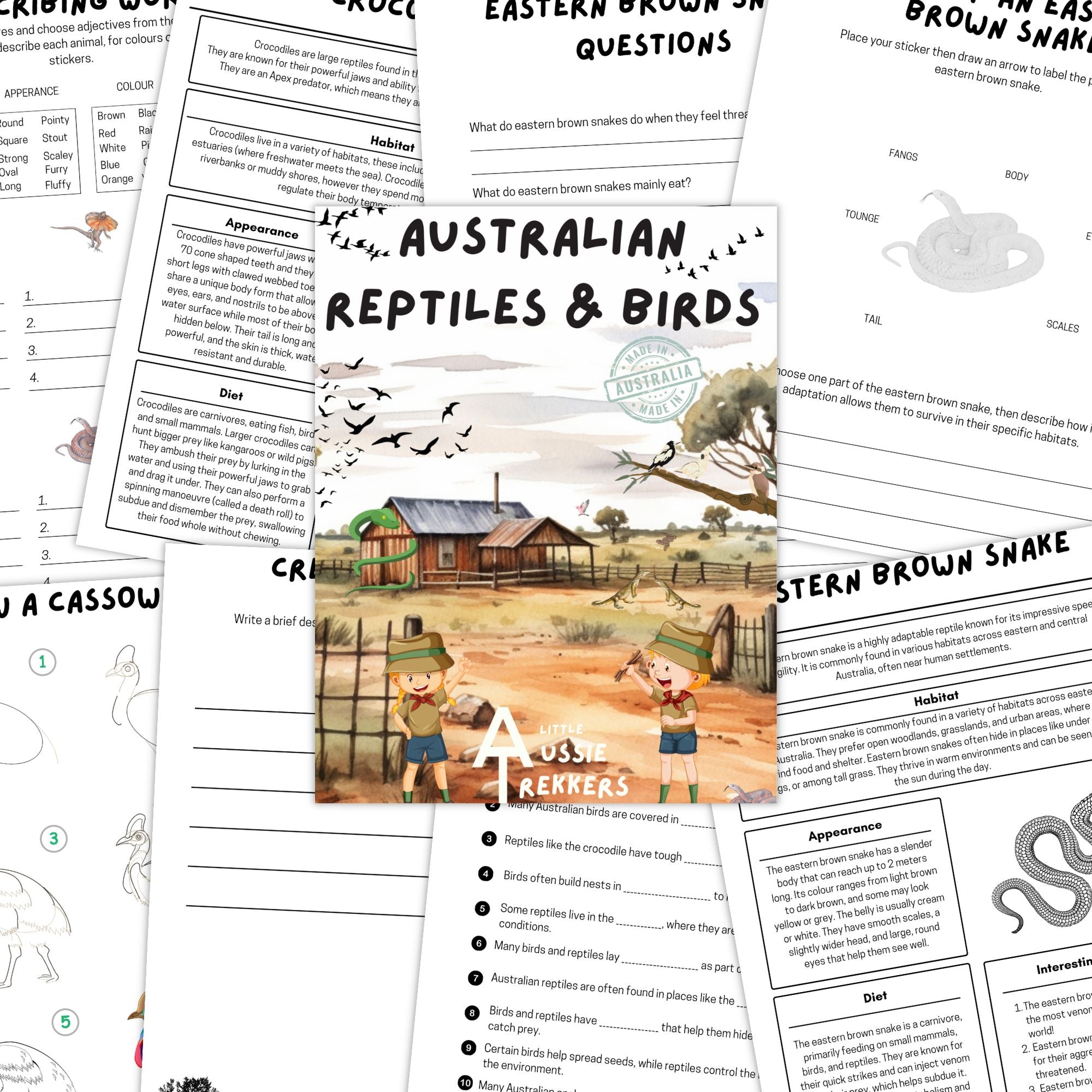 australian reptiles and birds activity book pages. 