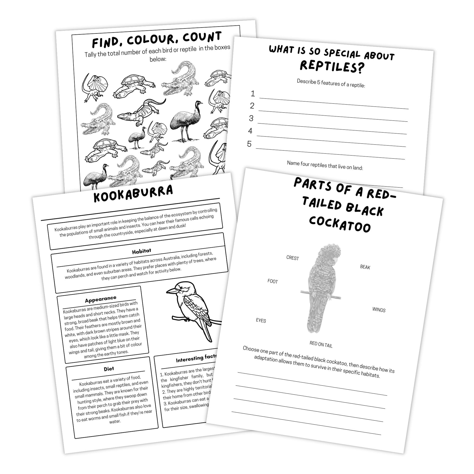 australian reptiles and birds activity book pages. 