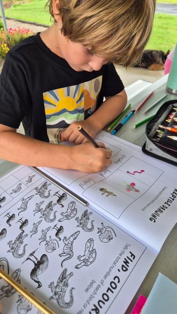 Child doing activities in australian reptiles and birds book