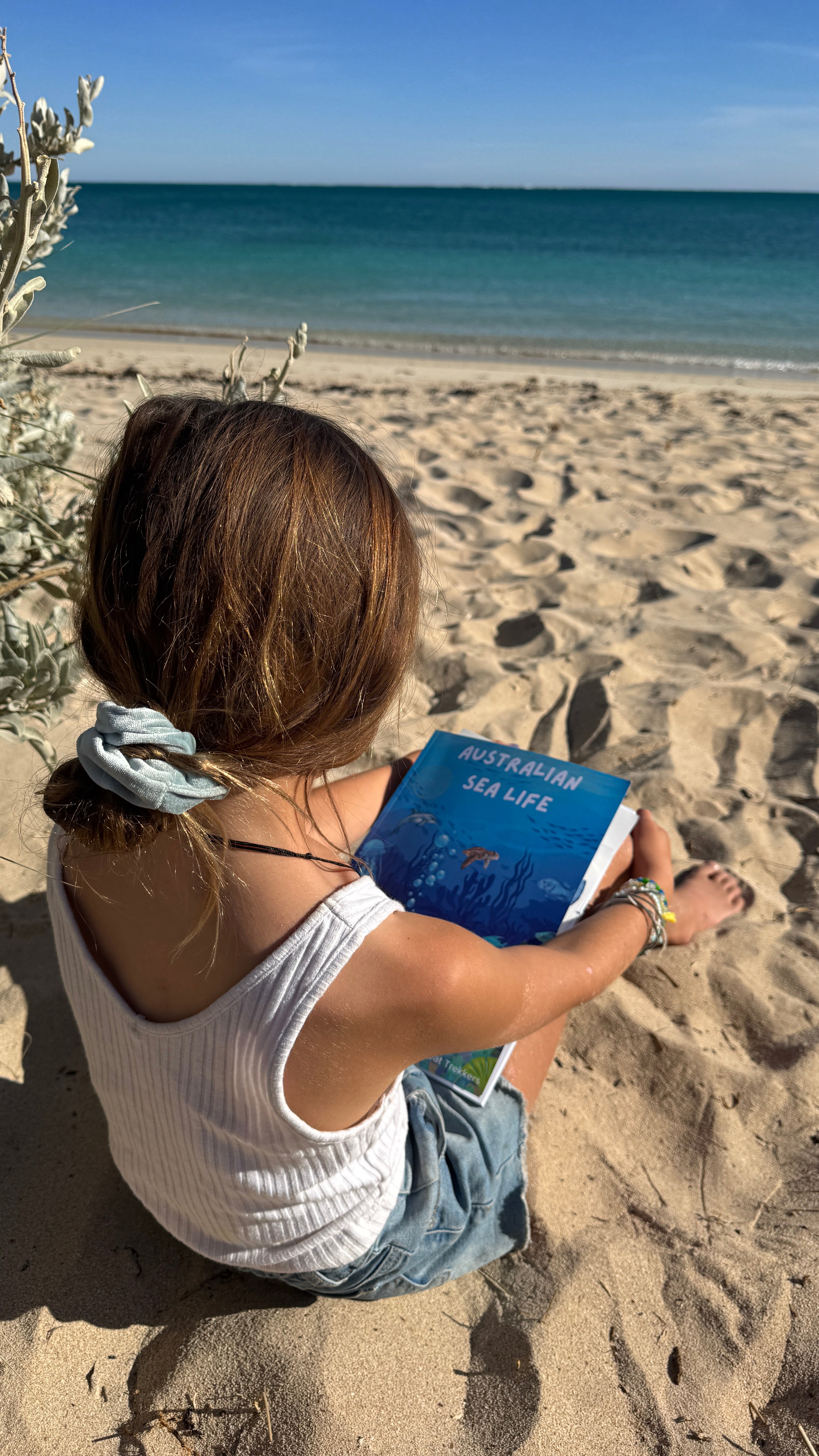 Child sitting on a sandy beach holding a australian sea life activity book, with ocean and clear sky in the background.