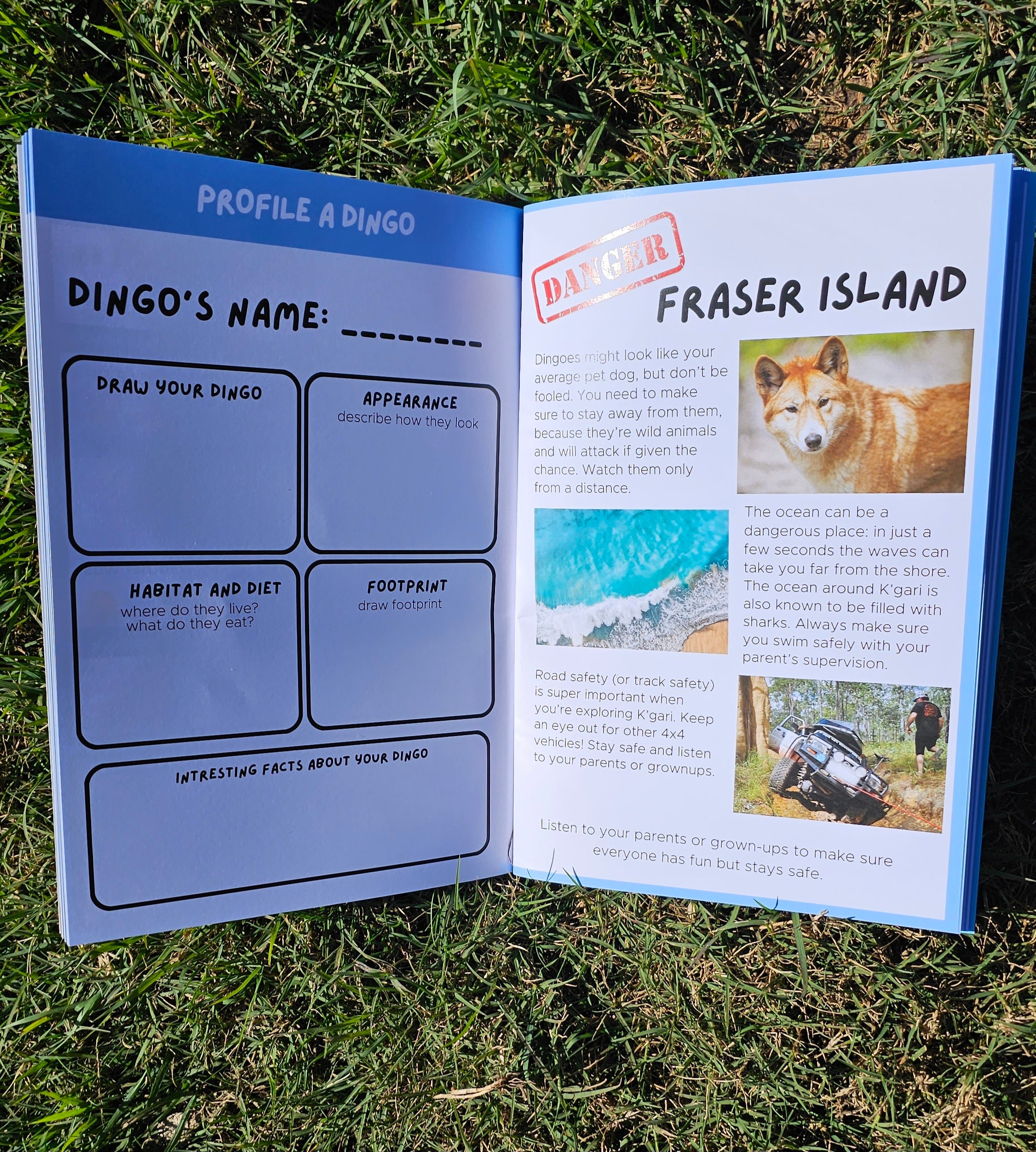 Fraser island travel journal pages